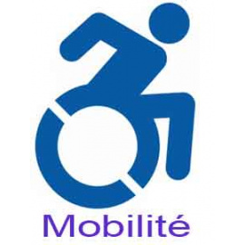 assistance-a-la-mobilite-pour-personnes-agees