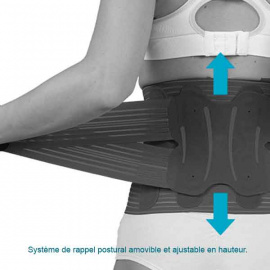 ceinture-lombaire-levolutive-1