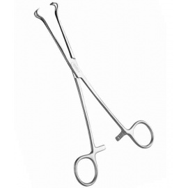 Pinces de Babcock pinces-de-babcock-1