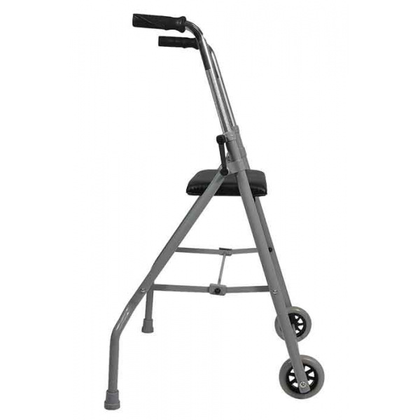 deambulateur-2-roues-londres-3