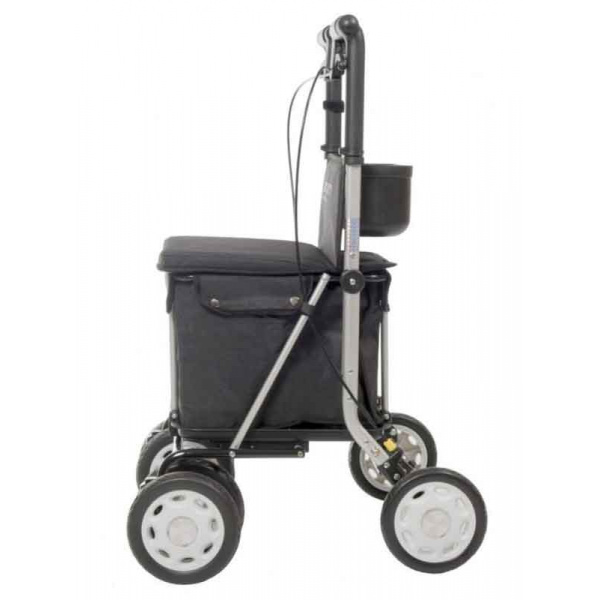 deambulateur-chariot-de-course-lett-900-cote